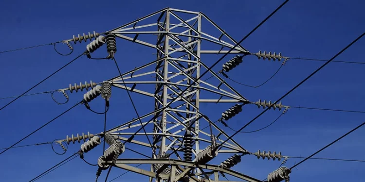 Grupo ambientalista recurre a la Justicia para detener proyecto de torres de alta tensión en Placilla