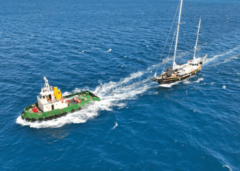 Profesor realizará proyecto sobre crisis de la biodiversidad y su impacto en el Derecho Internacional de Alta Mar