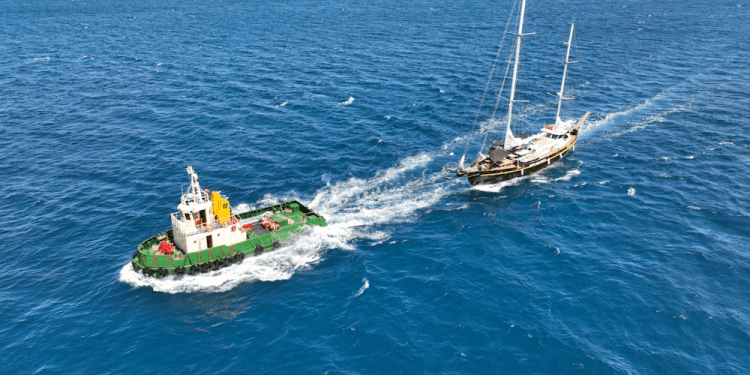 Profesor realizará proyecto sobre crisis de la biodiversidad y su impacto en el Derecho Internacional de Alta Mar