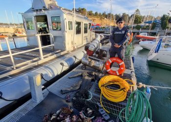 Sernapesca y Armada detectan sustracción de recursos provenientes de áreas de manejo