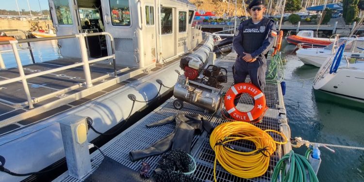 Sernapesca y Armada detectan sustracción de recursos provenientes de áreas de manejo