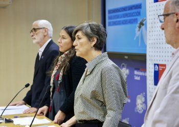 Organización Panamericana de la Salud apoya medidas preventivas contra el dengue en Chile