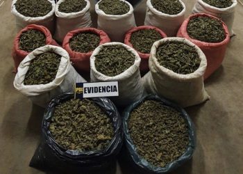 PDI saca de circulación 224 kilos de cannabis que serían distribuidas en Santiago y Valparaíso