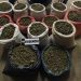 PDI saca de circulación 224 kilos de cannabis que serían distribuidas en Santiago y Valparaíso