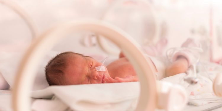 [Columna] Sandra Díaz: Bebés prematuros, principales riesgos en la salud