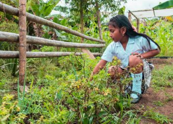 [Columna] Lesly Orellana: Día de la Tierra, ¿cómo educar en medio de la crisis ambiental?