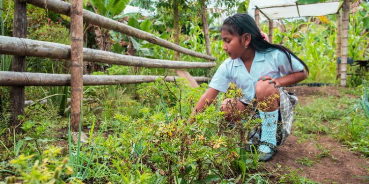 [Columna] Lesly Orellana: Día de la Tierra, ¿cómo educar en medio de la crisis ambiental?
