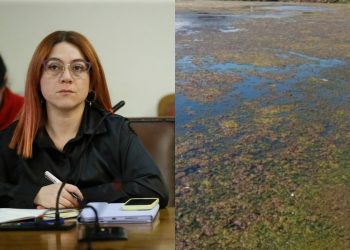 Diputada Bello solicita el cese de funciones de Aguas San Isidro en Los Molles