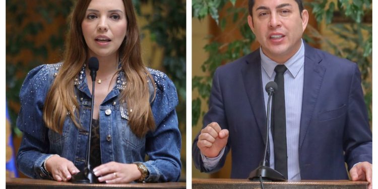 Posibles «narcofachadas»: Diputados Durán y Flores piden ampliar fiscalizaciones a negocios de tecnología, casinos informales, locales delivery y ópticas