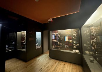 Museo Fonck instalará nueva iluminación en 4 salas de exhibición