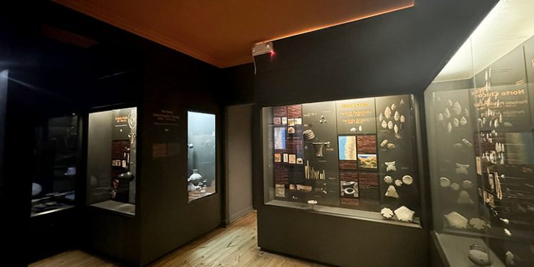 Museo Fonck instalará nueva iluminación en 4 salas de exhibición