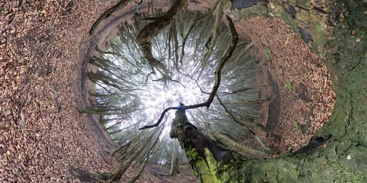 PUCV inaugura proyecto Anillo que estudiará el cambio climático en las cuencas hidrográficas del Biobío y Aconcagua