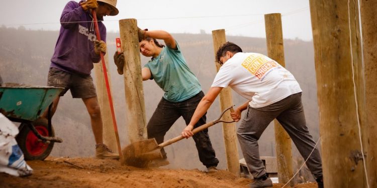 Universidades del CRUV continúan su labor en la reconstrucción de la región tras megaincendio