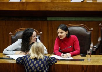 Congreso despachó a Ley proyecto que fortalece la publicidad  de las sesiones del Consejo de Monumentos Nacionales