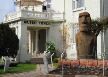 En el mes del Mar, Museo Fonck invita a conocer sobre tiburones y albatros en los “Viernes de Cultura Científica”