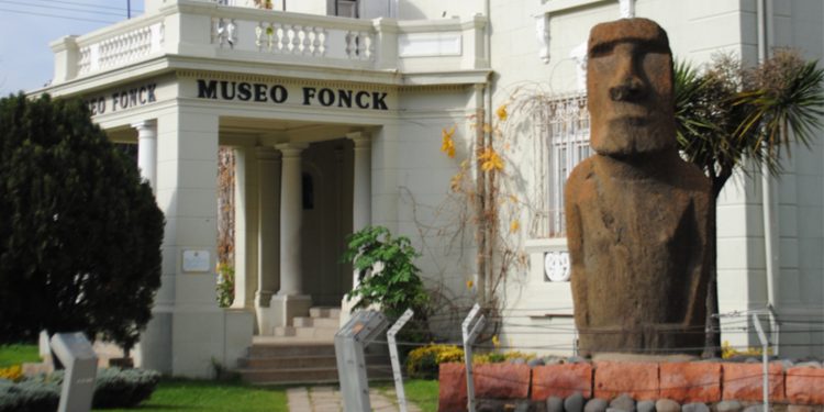 En el mes del Mar, Museo Fonck invita a conocer sobre tiburones y albatros en los “Viernes de Cultura Científica”