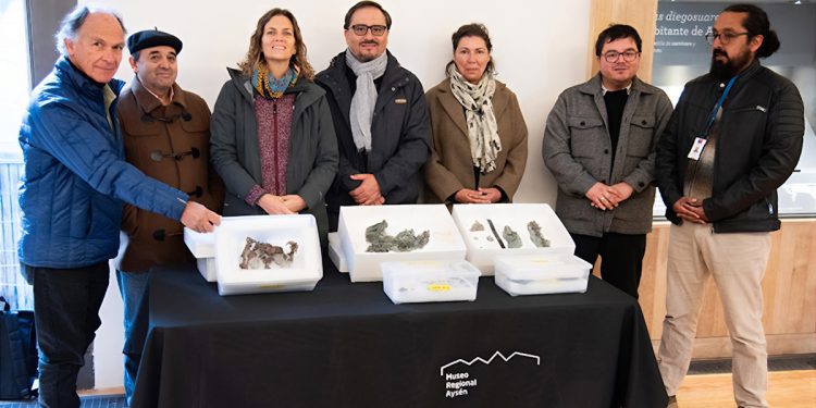 Académico UNAB regresó a la Región de Aysén con los nuevos fósiles del Chilesaurus y del cocodrilo jurásico