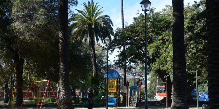 Miraflores Bajo tendrá recambio de luminarias tras proyecto del Municipio de Viña del Mar para iluminar el barrio y mejorar seguridad de peatones