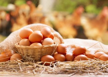 Alza en el precio de los huevos se mantendrá hasta septiembre debido al incremento de los costos logísticos