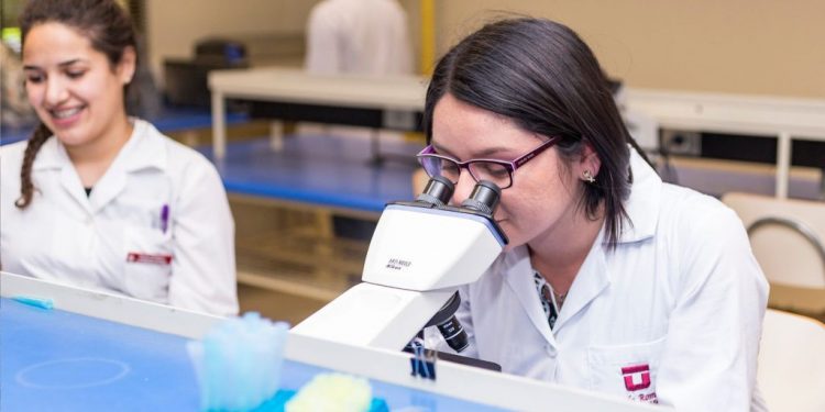 Primer Congreso de InES-Género busca disminuir brechas históricas en la producción científica