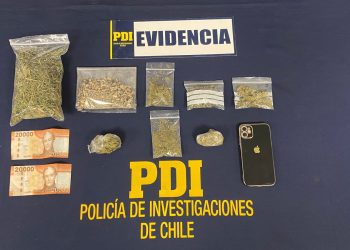 Con hongos alucinógenos fue aprehendido sujeto por la PDI en Quillota