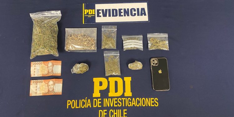 Con hongos alucinógenos fue aprehendido sujeto por la PDI en Quillota