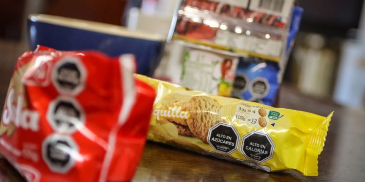 Leve disminución en malnutrición por exceso en la Región de Valparaíso según el Mapa Nutricional 2023