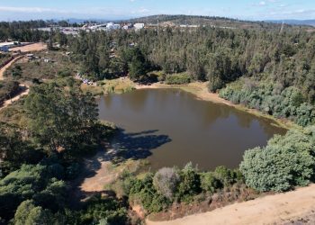 Valparaíso marca un hito histórico: «El Críquet» obtiene la categoría de humedal urbano