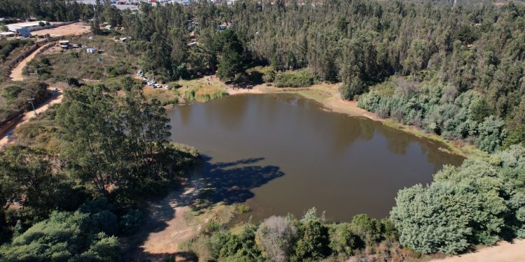 Valparaíso marca un hito histórico: «El Críquet» obtiene la categoría de humedal urbano