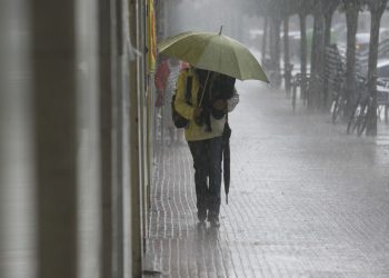 SEC lanza “WhatsApp” institucional para recoger reclamos y denuncias de la ciudadanía