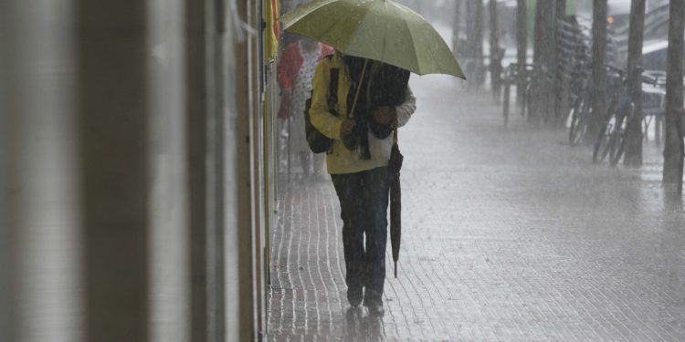 SEC lanza “WhatsApp” institucional para recoger reclamos y denuncias de la ciudadanía