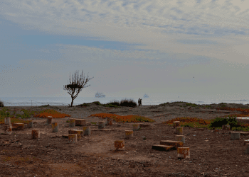 Resguardo de ex Centro de Detención en Santo Domingo
