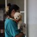 ¡Atención Valparaíso! Anuncian nueva clínica veterinaria municipal con  foco en animales sin hogar