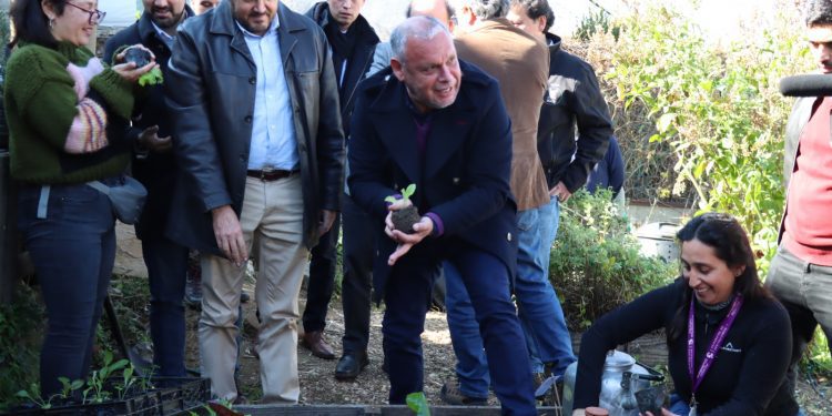 Presentan proyecto piloto para implementar Red de Huertos Urbanos en la Región de Valparaíso