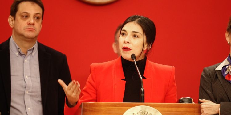 Karol Cariola: “Que los chilenos y chilenas vivan con mayor seguridad en su vida cotidiana es una tarea que nos corresponde a todos y todas”