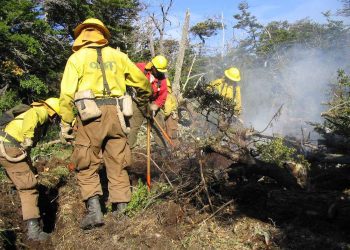 Segundo detenido por megaincendio de Valparaíso: Es funcionario de Conaf