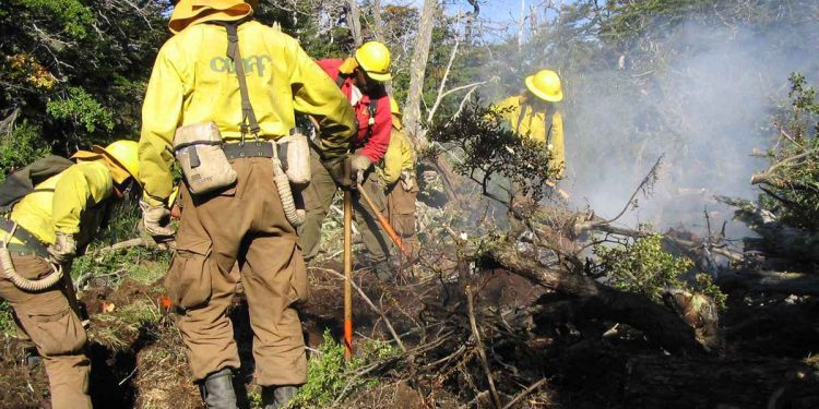 Segundo detenido por megaincendio de Valparaíso: Es funcionario de Conaf