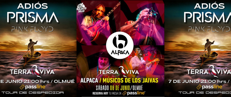 ¡Imperdibles! Dos grandes eventos te esperan en Terra Viva Olmué