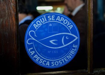 Sernapesca refuerza invitación a postular al Sello Azul: Convocatoria termina este domingo 30