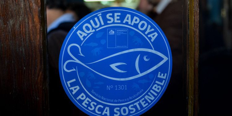 Sernapesca refuerza invitación a postular al Sello Azul: Convocatoria termina este domingo 30