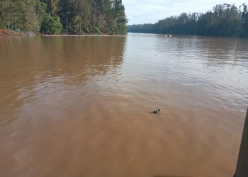 Esval informa corte de emergencia en Placilla por turbiedad en Tranque La Luz