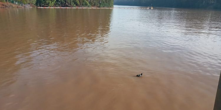 Esval informa corte de emergencia en Placilla por turbiedad en Tranque La Luz