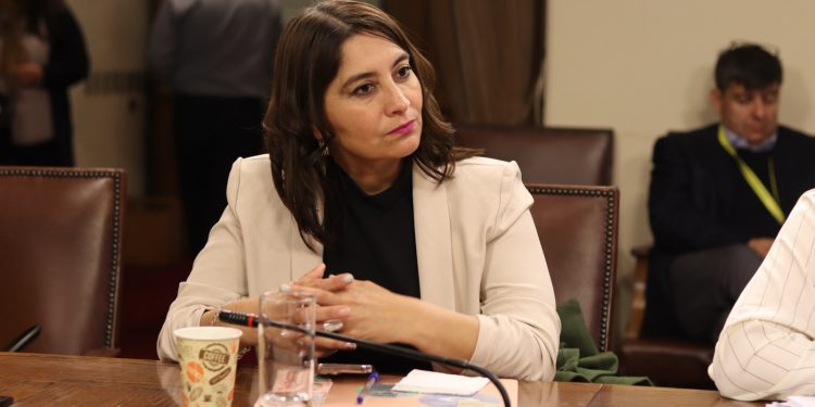 Diputada Castillo anuncia Sesión Especial por problemas de implementación del servicio que reemplazó al Sename