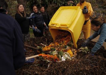 Innovador proyecto de compostaje logra procesar más de 4 mil kilos de residuos orgánicos en el Hospital van Buren