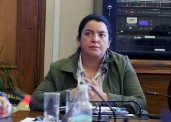 Diputada Romero propone devolver el IVA a las familias más vulnerables ante el grave impacto que la inﬂación está provocando en el quintil más bajo