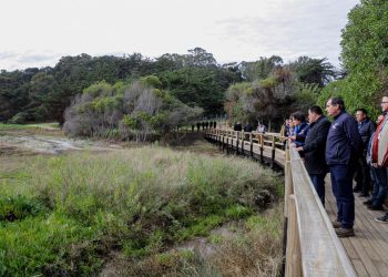 Ministra Maisa Rojas reconoce trabajo de San Antonio y El Quisco por proteger importantes humedales de la zona