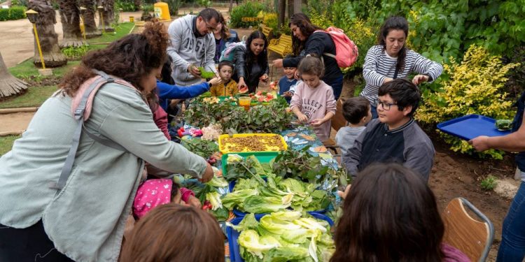 Revisa todas las actividades de invierno en Quilpué
