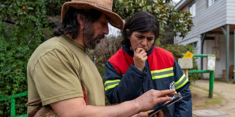 Quilpué: 23 ciervos y dos pavos muertos por presunto ataque de perros