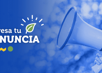 Superintendencia del Medio Ambiente abre procedimiento sancionatorio contra «Bloom Bar» de Viña del Mar por infracción a norma de ruidos