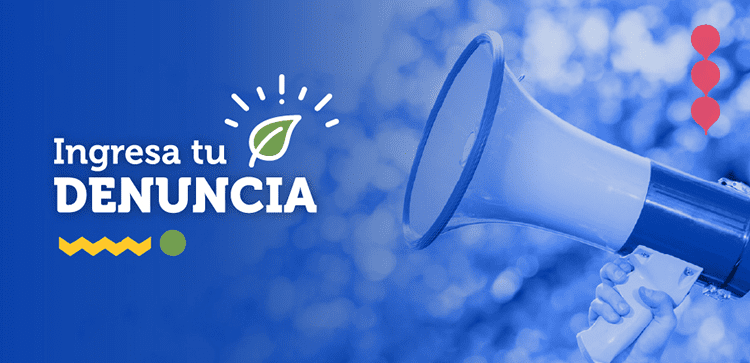 Superintendencia del Medio Ambiente abre procedimiento sancionatorio contra «Bloom Bar» de Viña del Mar por infracción a norma de ruidos